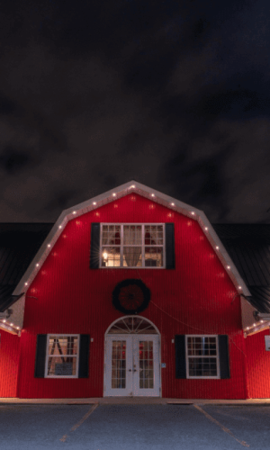 Delaware Permanent Lighting - Residential and Commercial services